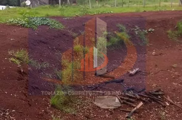 Chácara para Venda em Pato Branco / PR no bairro Trevo da patrolinha - Foto 7