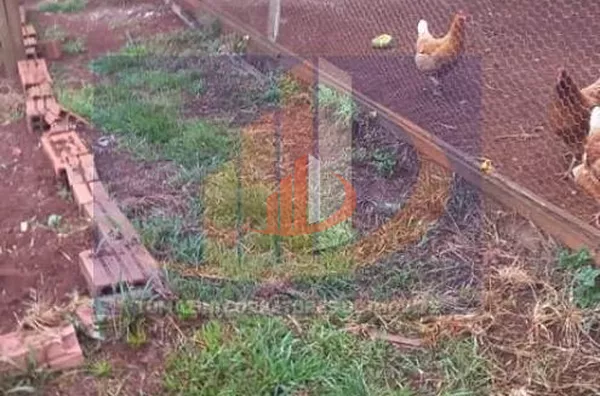 Chácara para Venda em Pato Branco / PR no bairro Trevo da patrolinha - Foto 16