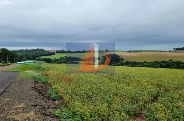 Área Rural para Venda em Pato Branco / PR no bairro RETA GRANDE - Foto 4