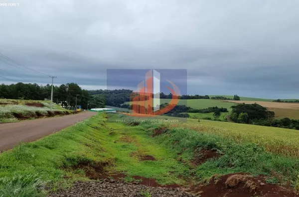 Área Rural para Venda em Pato Branco / PR no bairro RETA GRANDE - Foto 8