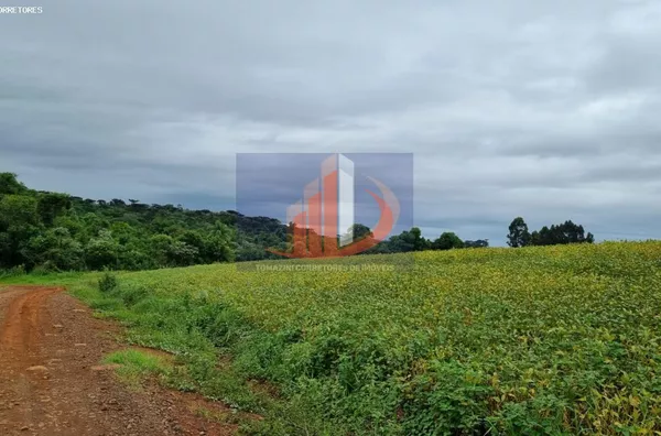 Área Rural para Venda em Pato Branco / PR no bairro RETA GRANDE - Foto 14