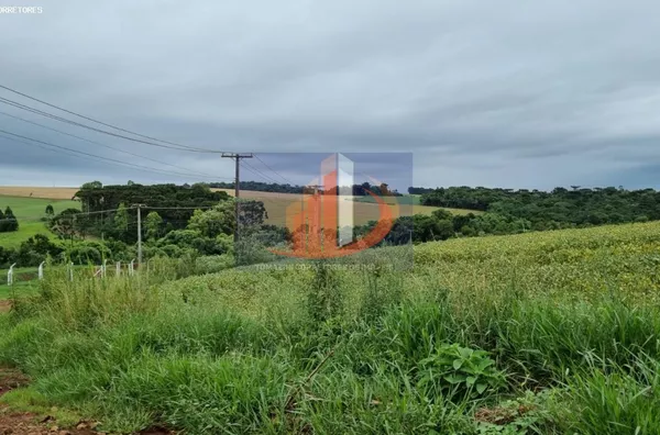 Área Rural para Venda em Pato Branco / PR no bairro RETA GRANDE - Foto 16