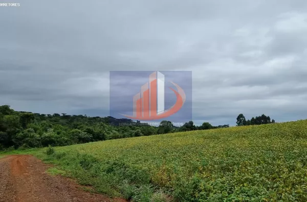 Área Rural para Venda em Pato Branco / PR no bairro RETA GRANDE - Foto 15