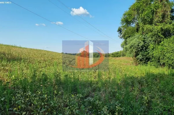 Área Rural para Venda no bairro BR 158 acesso a coronel vivida - Foto 5