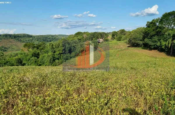 Área Rural para Venda no bairro BR 158 acesso a coronel vivida - Foto 6