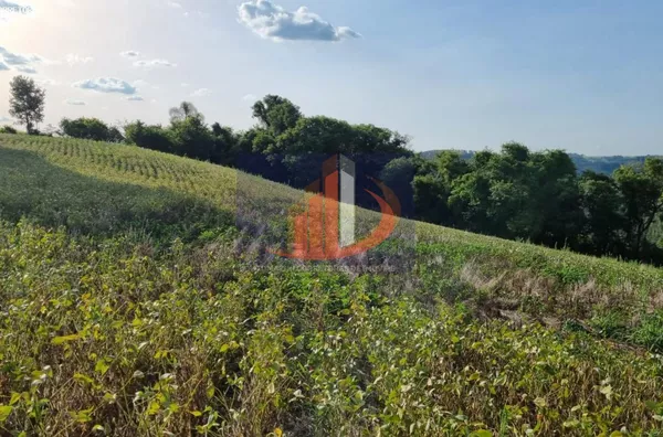 Área Rural para Venda no bairro BR 158 acesso a coronel vivida - Foto 8