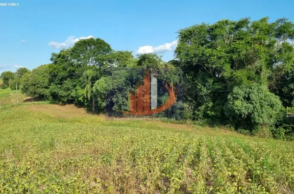 Área Rural para Venda no bairro BR 158 acesso a coronel vivida - Foto 9