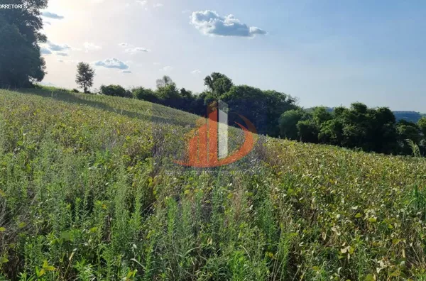Área Rural para Venda no bairro BR 158 acesso a coronel vivida - Foto 10