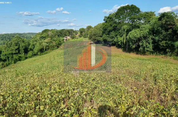 Área Rural para Venda no bairro BR 158 acesso a coronel vivida - Foto 11