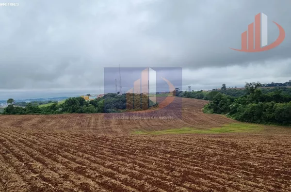 Área Rural para Venda em Pato Branco / PR no bairro FRENTE BR 280