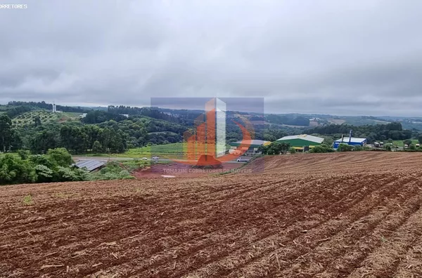 Área Rural para Venda em Pato Branco / PR no bairro FRENTE BR 280 - Foto 2