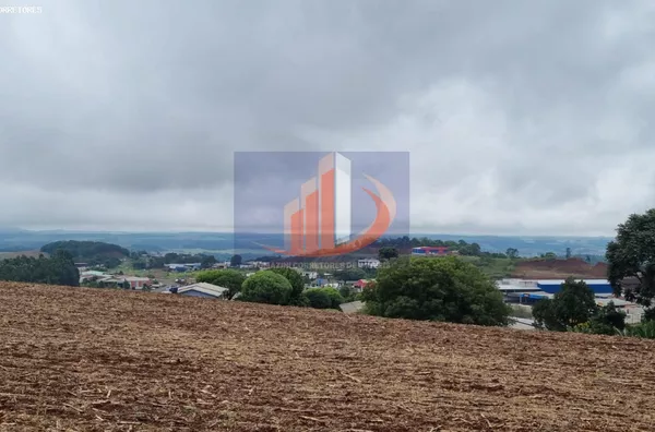 Área Rural para Venda em Pato Branco / PR no bairro FRENTE BR 280 - Foto 5