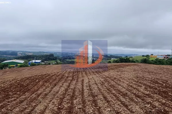 Área Rural para Venda em Pato Branco / PR no bairro FRENTE BR 280 - Foto 6