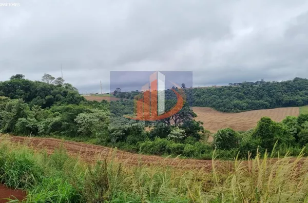 Área Rural para Venda em Pato Branco / PR no bairro FRENTE BR 280 - Foto 9