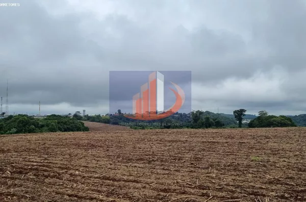 Área Rural para Venda em Pato Branco / PR no bairro FRENTE BR 280 - Foto 10