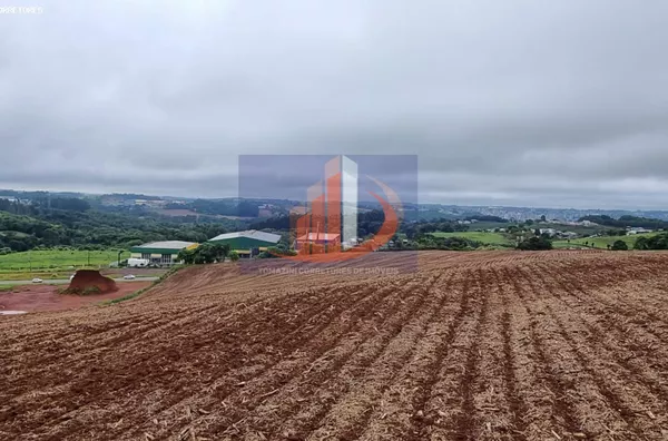 Área Rural para Venda em Pato Branco / PR no bairro FRENTE BR 280 - Foto 11