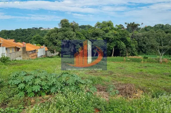 Terreno para Venda em Pato Branco / PR no bairro Santa Terezinha - Foto 7