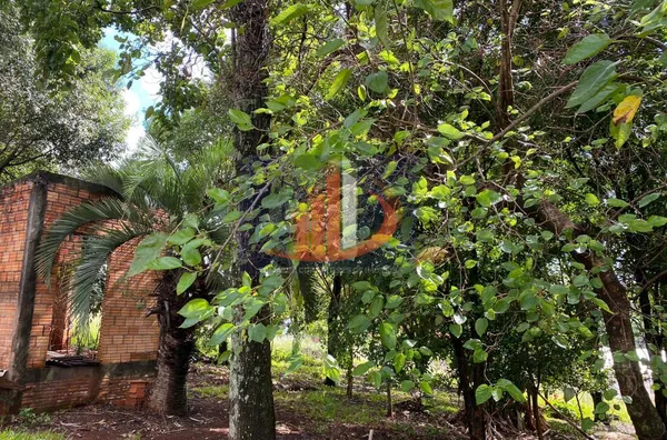 Terreno para Venda em Pato Branco / PR no bairro Santa Terezinha - Foto 9