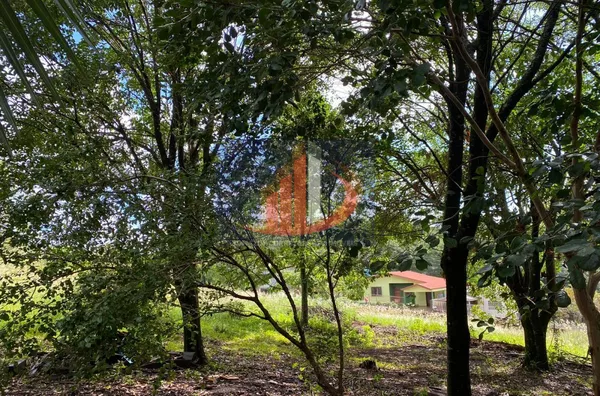 Terreno para Venda em Pato Branco / PR no bairro Santa Terezinha - Foto 14