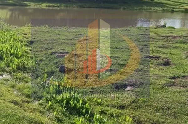 Área Rural para Venda em Palmas / PR no bairro Zona Rural - Foto 3