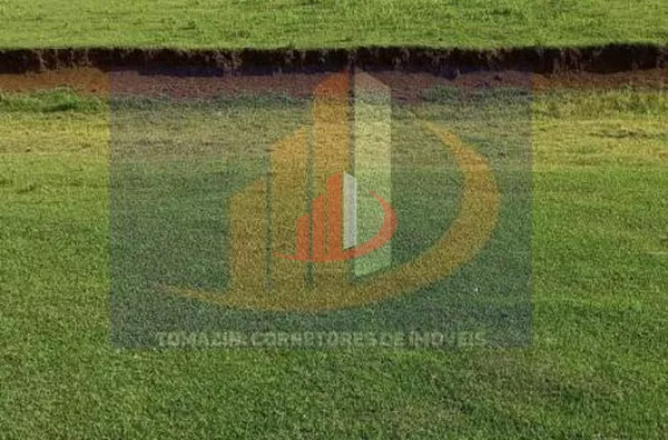 Área Rural para Venda em Palmas / PR no bairro Zona Rural - Foto 2