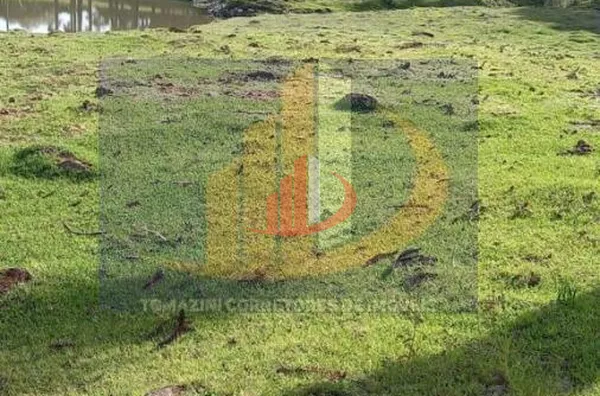 Área Rural para Venda em Palmas / PR no bairro Zona Rural - Foto 5