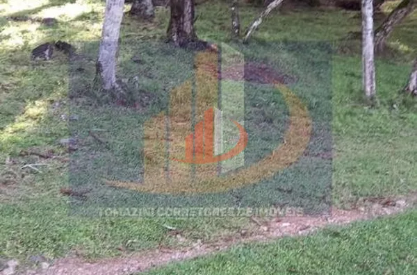 Área Rural para Venda em Palmas / PR no bairro Zona Rural - Foto 7