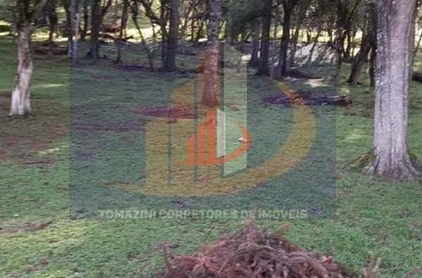 Área Rural para Venda em Palmas / PR no bairro Zona Rural - Foto 10