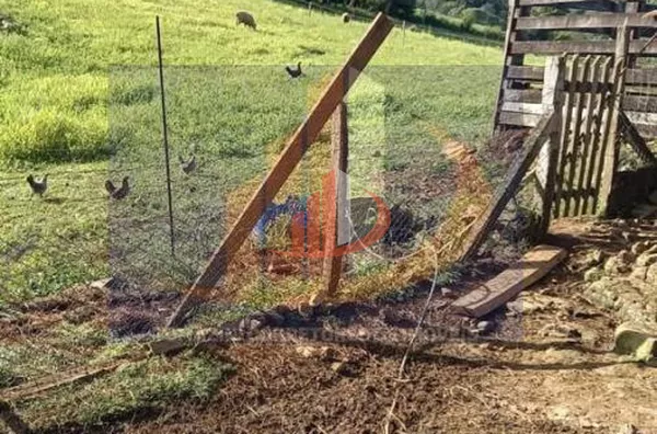 Área Rural para Venda em Palmas / PR no bairro Zona Rural - Foto 15