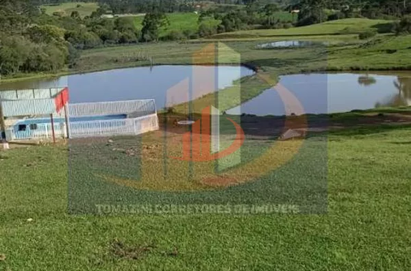 Área Rural para Venda em Palmas / PR no bairro Zona Rural - Foto 19