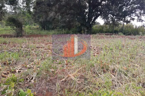 Chácara para venda - Foto 4