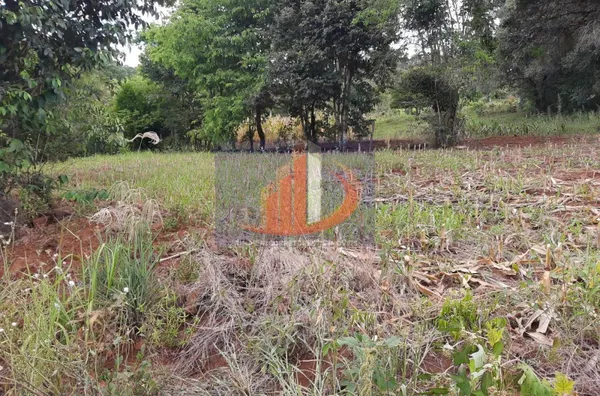 Chácara para venda - Foto 8