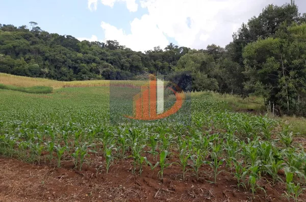 Chácara para venda - Foto 14