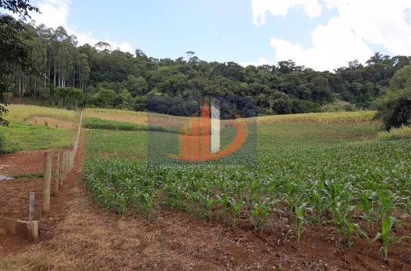 Chácara para venda - Foto 17