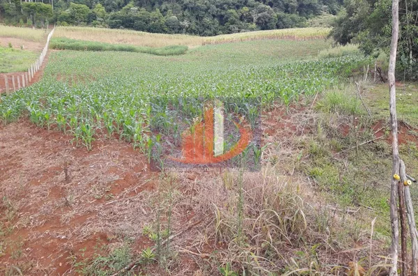 Chácara para venda - Foto 19