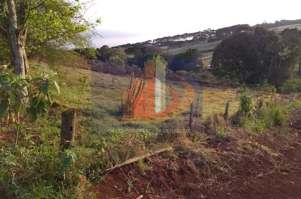 Chácara para Venda no bairro Zona Rural - Foto 3