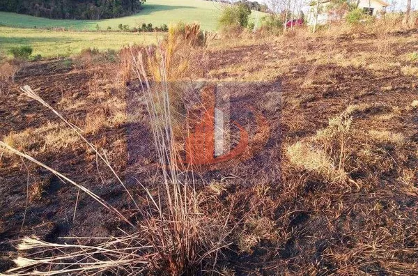 Chácara para Venda no bairro Zona Rural - Foto 5