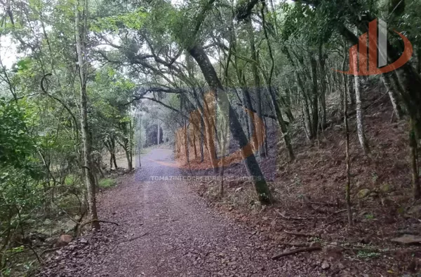 Chácara para Venda em Pato Branco / PR no bairro Zona Rural