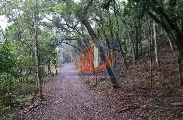 Chácara para Venda em Pato Branco / PR no bairro Zona Rural