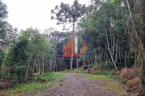 Chácara para Venda em Pato Branco / PR no bairro Zona Rural - Foto 6