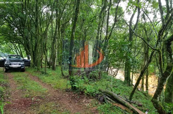 Chácara para Venda em Pato Branco / PR no bairro Zona Rural - Foto 7