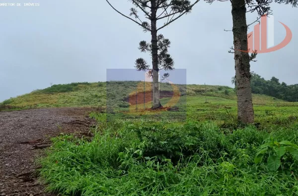Chácara para Venda em Pato Branco / PR no bairro Zona Rural