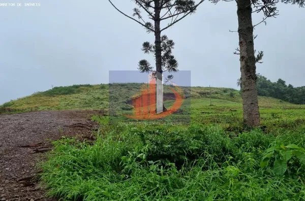 Chácara para Venda em Pato Branco / PR no bairro Zona Rural