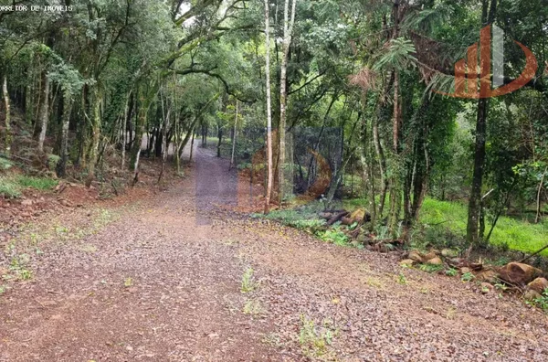 Chácara para Venda em Pato Branco / PR no bairro Zona Rural