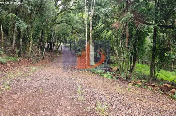 Chácara para Venda em Pato Branco / PR no bairro Zona Rural
