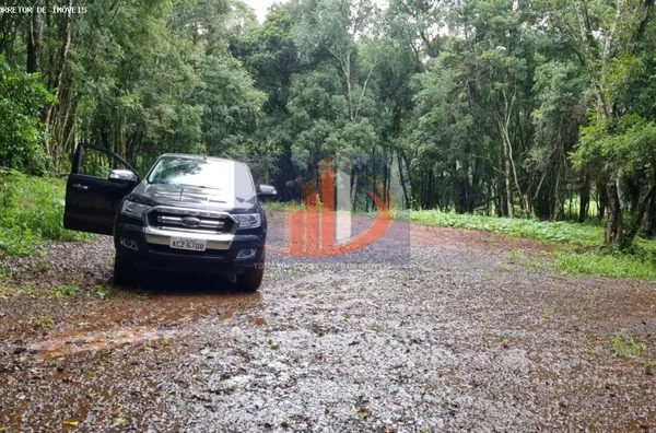 Chácara para Venda em Pato Branco / PR no bairro Zona Rural - Foto 13
