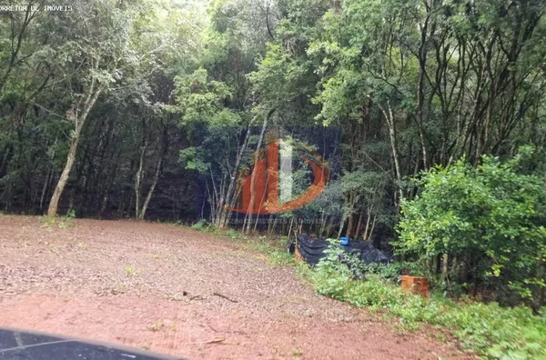 Chácara para Venda em Pato Branco / PR no bairro Zona Rural - Foto 14