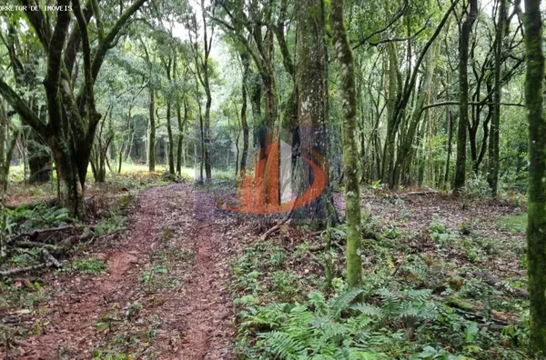 Chácara para Venda em Pato Branco / PR no bairro Zona Rural - Foto 9