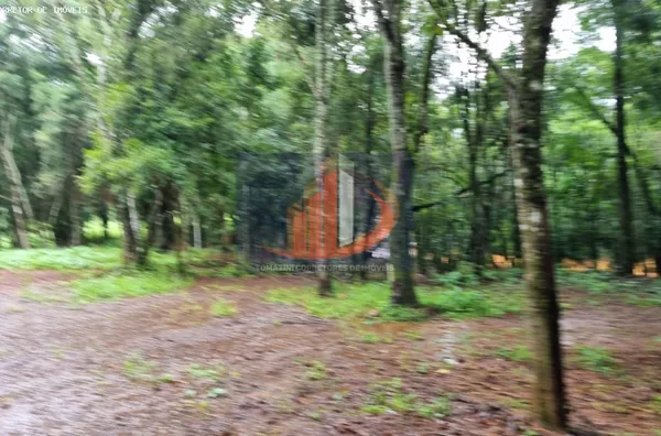 Chácara para Venda em Pato Branco / PR no bairro Zona Rural - Foto 10
