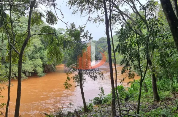 Chácara para Venda em Pato Branco / PR no bairro Zona Rural - Foto 11